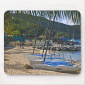 Beach side at Leverick Bay Resort & Marina, Muismat (Voorkant)