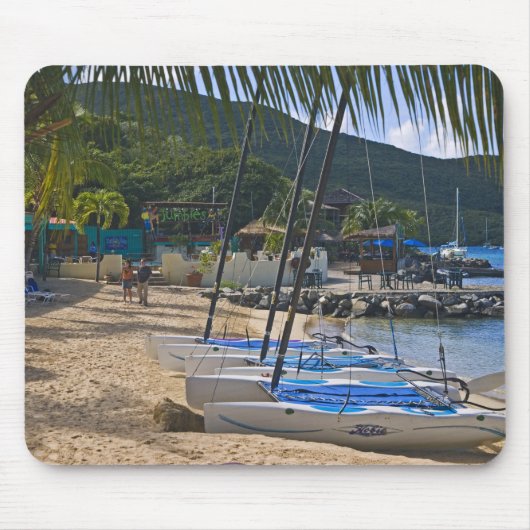 Beach side at Leverick Bay Resort & Marina, Muismat (Voorkant)