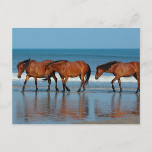 Beach Sisters Briefkaart
