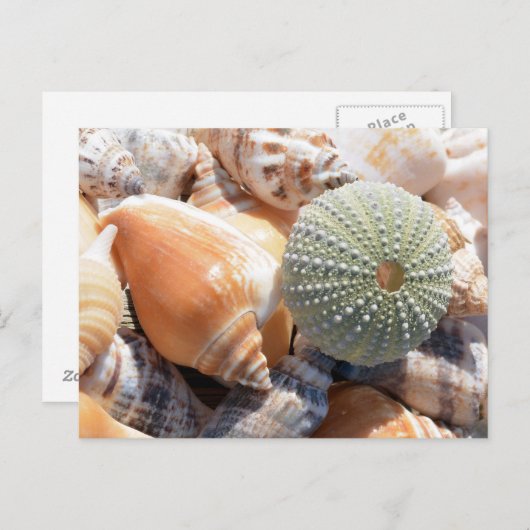 Beach Souvenirs Briefkaart (Voorkant / Achterkant)