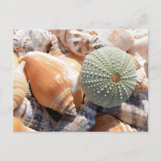 Beach Souvenirs Briefkaart