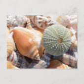 Beach Souvenirs Briefkaart (Voorkant)