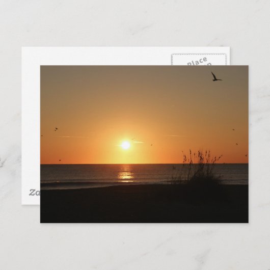 Beach Sunrise Briefkaart (Voorkant / Achterkant)