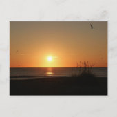Beach Sunrise Briefkaart (Voorkant)
