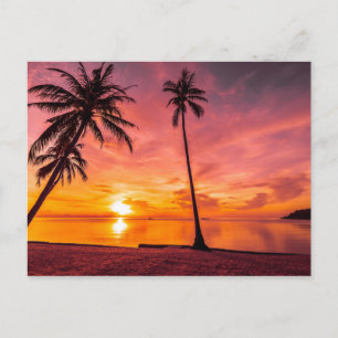 Beach Sunset briefkaart