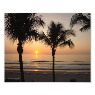 Beach Sunset Ocean Palm Tree Fotografie Foto Afdruk