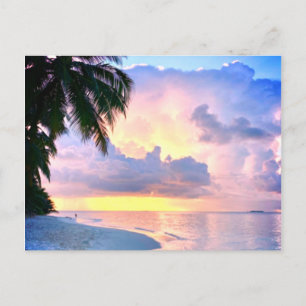 Beach Sunset oceanische zandpalmboom Maldiven Miam Briefkaart