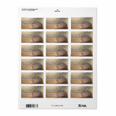 Beach Sunset Seashell Etiket (Full Sheet)