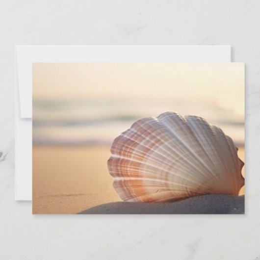 Beach Sunset Seashell RSVP Kaart (Achterkant)