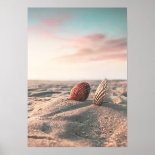 Beach Sunset Zee Shell Beach Photography Poster