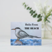 Beach Tern Seagull Hallo Briefkaart (Staand voorkant)