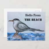 Beach Tern Seagull Hallo Briefkaart (Voorkant / Achterkant)