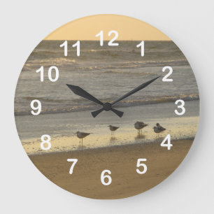Beach Terns Seagulls Birds Ocean Numbers Grote Klok