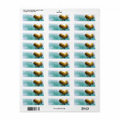 Beach Thed Etiket (Full Sheet)