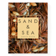 Beach Theme Guest House Gastenboek