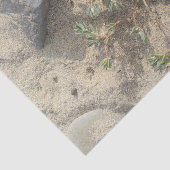 Beach Tissuepapier (Detail)