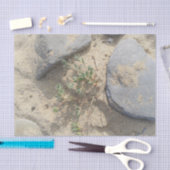 Beach Tissuepapier (Craft)