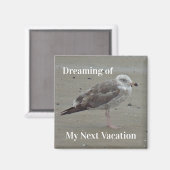 Beach Travel Painted Grey Seagull Coastal Bird Magneet (Voorkant / Achterkant)
