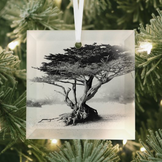 BEACH TREE Glass Ornament (Insitu)