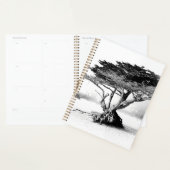 BEACH TREE Planner (Display)