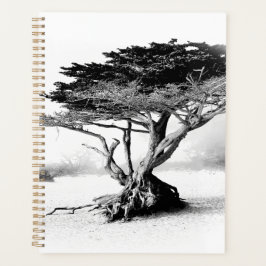BEACH TREE Planner