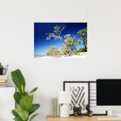 Beach Tree Poster (Thuiskantoor)