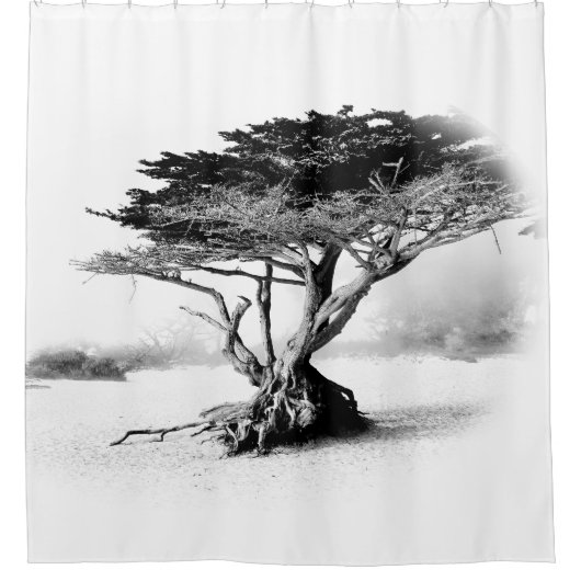 BEACH TREE Shower Curtain Douchegordijn (Voorkant)