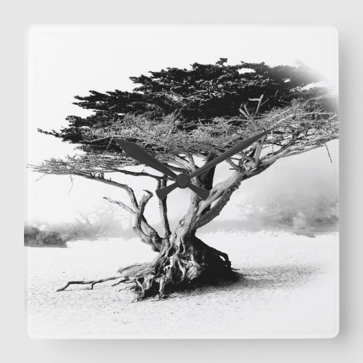 BEACH TREE Wandklok (Voorkant)