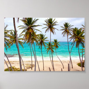 Beach Tropical met palmbomen Poster