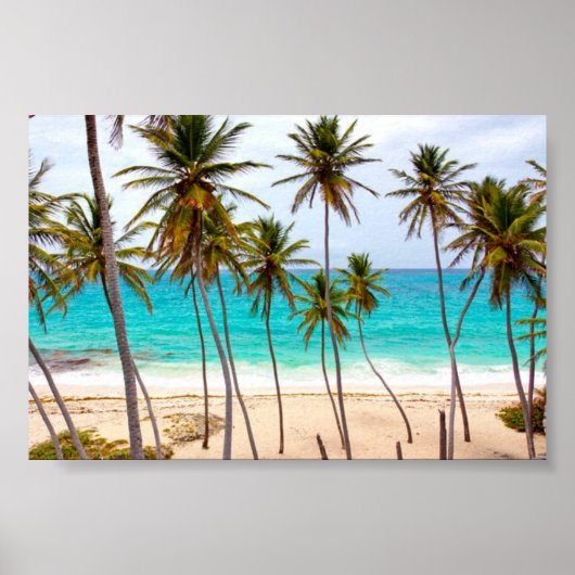 Beach Tropical met palmbomen Poster (Voorkant)