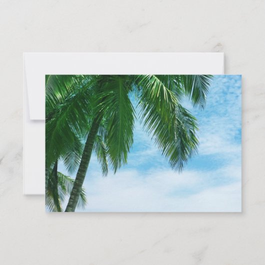 Beach Tropical Palm Tree Ocean Destination Wedinat RSVP Kaartje (Achterkant)