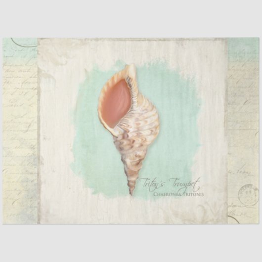 Beach Trumpet Zee Shell Blue Waterverf Decoupage Tissuepapier (Voorkant)