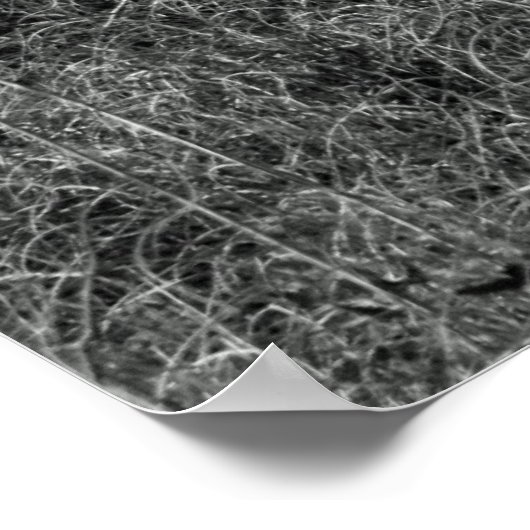 Beach&W Poster (Hoek)