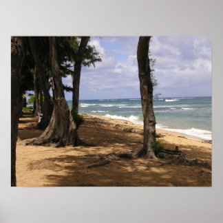 Beach, Wailua, Kauai Poster