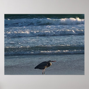 Beach Wave Poster