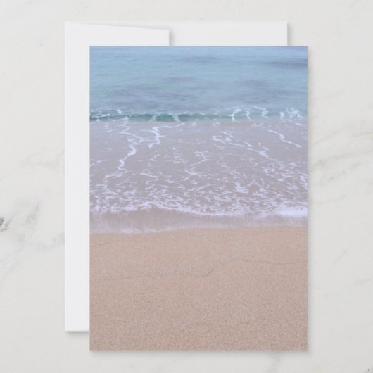 Beach Wedding Sand Dollar & Starfish Kaart (Achterkant)