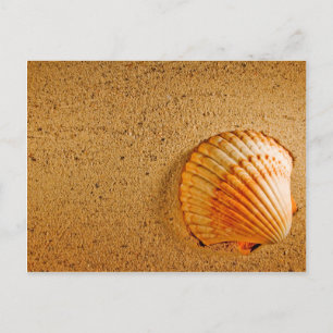 Beach Wedding Tropical RSVP Invitation Uitnodiging Briefkaart