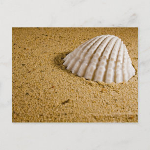 Beach Wedding Tropical RSVP Invitation Uitnodiging Briefkaart