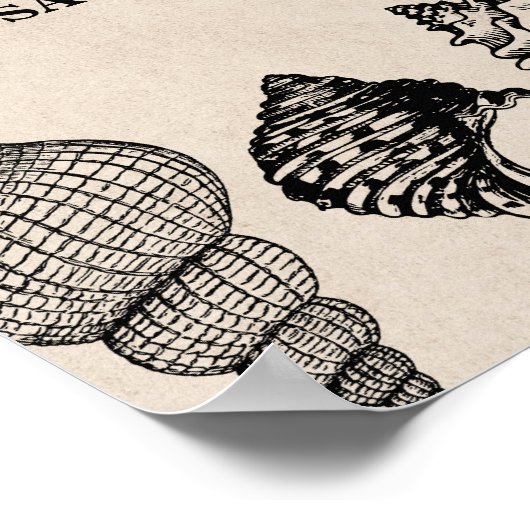 Beach Wedding Welcome Poster Shells Ocean (Hoek)