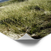 Beach, Welfleet MA Poster (Hoek)