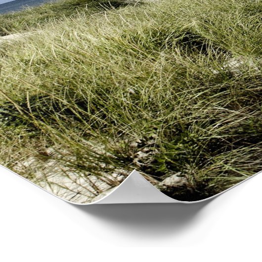 Beach, Welfleet MA Poster (Hoek)