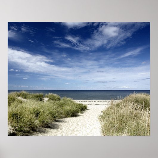 Beach, Welfleet MA Poster (Voorkant)
