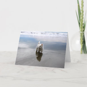 Beach Westie Reflectie Foto Wenskaart Bedankkaart