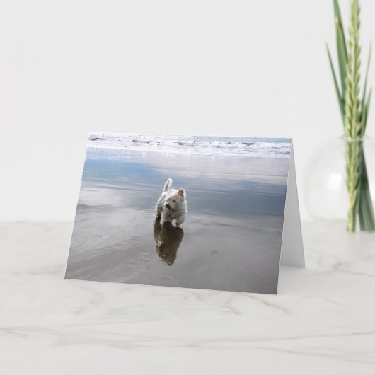 Beach Westie Reflectie Foto Wenskaart Bedankkaart (Voorkant)