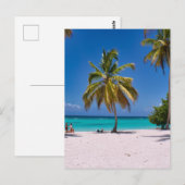 Beach, White Sand, Palm Trees Summer Vacation Briefkaart (Voorkant / Achterkant)