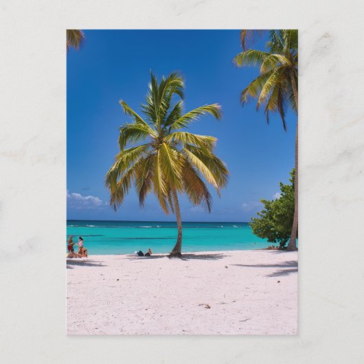 Beach, White Sand, Palm Trees Summer Vacation Briefkaart (Voorkant)