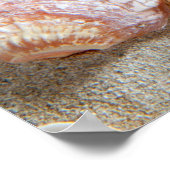 Beach White Sand Seashells Poster (Hoek)