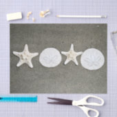 Beach X's en O's Tissue Paper Tissuepapier (Craft)