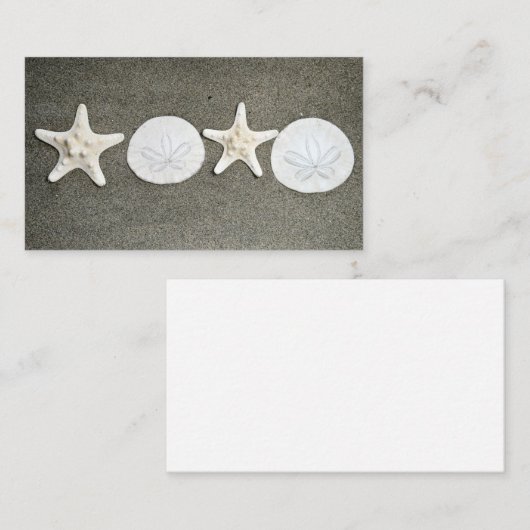 Beach X's en O's Zeester Zanddollar Fotokaart Informatiekaartje (Voorkant / Achterkant)