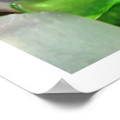 Beach Zee Glass art print Coastal Rock Garden (Hoek)